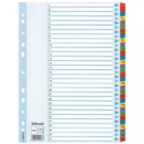 Regiszter A/4 karton 1-31 reg. Mylar 100164