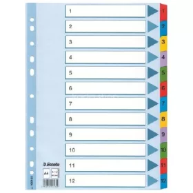Regiszter A/4 karton 1-12 reg. Mylar 100162