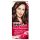 GARNIER Color Sensation Hajfesték 4.15 Jeges Gesztenye