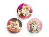 Matrica, tépőzáras, Classy Plus táskához, BELMIL "Cats", cica