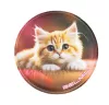 Matrica, tépőzáras, Classy Plus táskához, BELMIL "Cats", cica