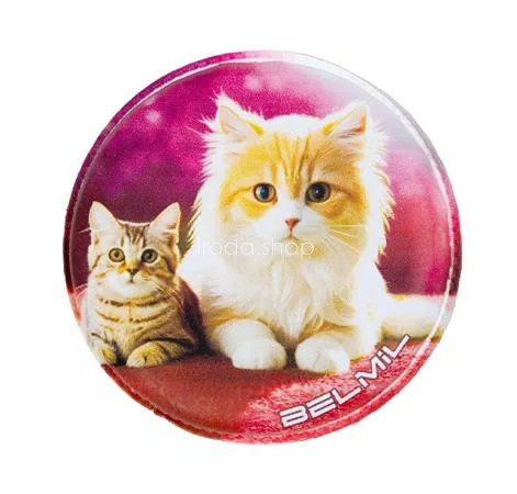 Matrica, tépőzáras, Classy Plus táskához, BELMIL "Cats", cica