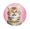Matrica, tépőzáras, Classy Plus táskához, BELMIL "Cats", cica
