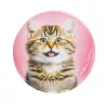 Matrica, tépőzáras, Classy Plus táskához, BELMIL "Cats", cica