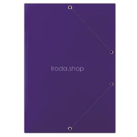 Gumis mappa, karton, A4, DONAU "Standard", kék