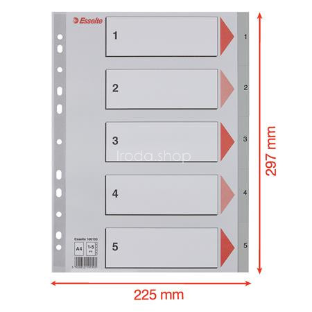 Regiszter, műanyag, A4, 1-5, ESSELTE, szürke