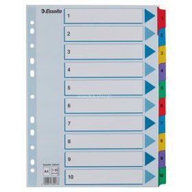 Regiszter, karton, A4, 1-10, ESSELTE "Mylar"