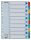 Regiszter, karton, A4, 1-10, ESSELTE "Mylar"