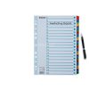Regiszter, karton, A4, 1-20, ESSELTE "Mylar"