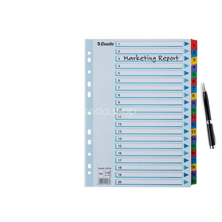 Regiszter, karton, A4, 1-20, ESSELTE "Mylar"
