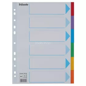   Regiszter, karton, A4, 6 részes, írható előlappal, ESSELTE "Standard", színes