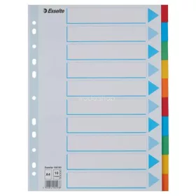   Regiszter, karton, A4, 10 részes, írható előlappal, ESSELTE "Standard", színes