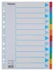 Regiszter, karton, A4, 12 részes, írható előlappal, ESSELTE "Standard", színes