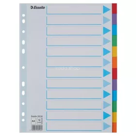   Regiszter, karton, A4, 12 részes, írható előlappal, ESSELTE "Standard", színes