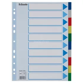 Regiszter, műanyag, A4, 10 részes, ESSELTE