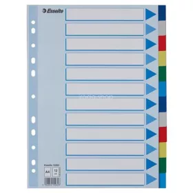 Regiszter, műanyag, A4, 12 részes, ESSELTE