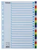 Regiszter, műanyag, A4, 20 részes, ESSELTE