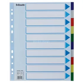 Regiszter, műanyag, A4 Maxi, 10 részes, ESSELTE