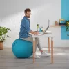 Ülőlabda, LEITZ "Ergo Cosy", nyugodtkék