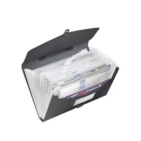   Harmonikatáska, A4, PP, 12 rekeszes, ESSELTE "Vivida", fekete