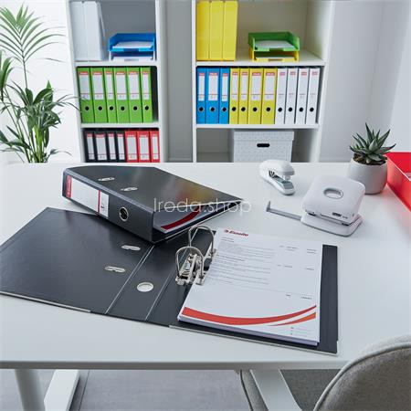 Iratrendező, 75 mm, A4, PP, élvédő sínnel, ESSELTE "Standard", Vivida fehér