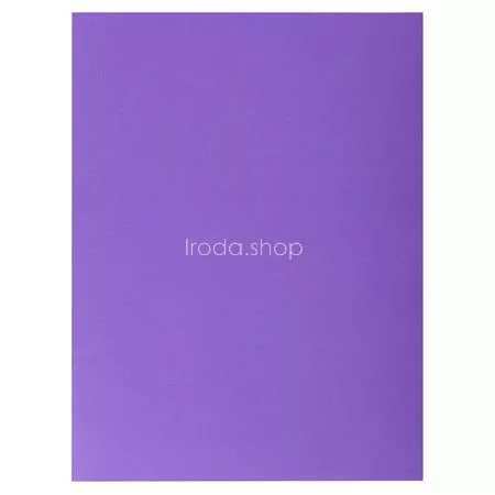 Irattároló mappa, 2 zsebes, A4, 25 db, EXACOMPTA "Rock's", 5 különböző szín