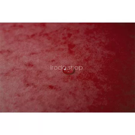 Gumis mappa, karton, A4, 60 mm, EXACOMPTA, piros