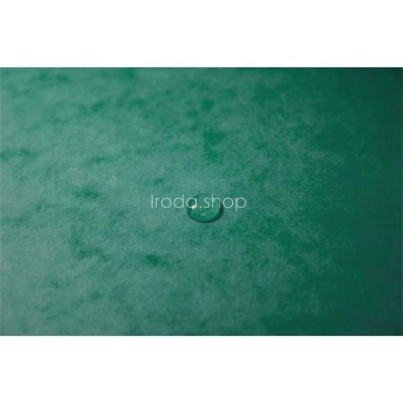 Gumis mappa, prespán, A4, EXACOMPTA, zöld