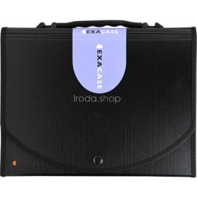   Harmonikamappa, A4, PP, 13 rekeszes, EXACOMPTA "Exactive®", fekete