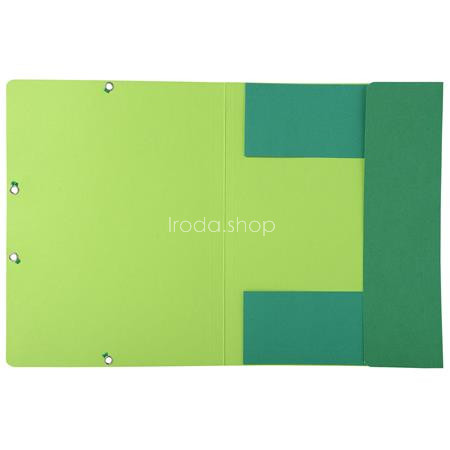 Gumis mappa, karton, A4, EXACOMPTA "Forever®", zöld