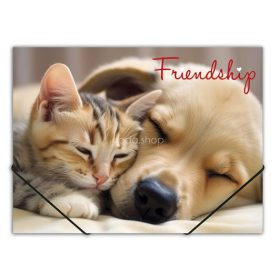   Gumis mappa, 15 mm, PP, A4, PANTA PLAST "Friendship"