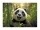 Irattartó tasak, A4 PP, patentos, 180 mikron, PANTA PLAST "Panda"