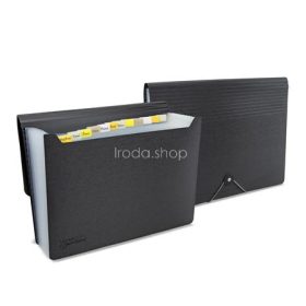   Harmonikamappa, A4, PP, 13 rekeszes, RAPESCO "Germ-Savvy™", matt fekete