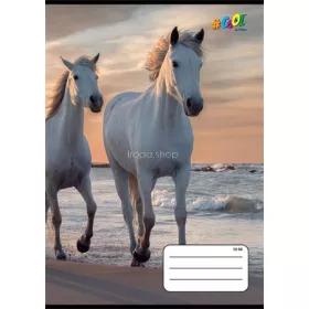   Füzet, tűzött, A5, vonalas, 32 lap, 3. osztály, COOL BY VICTORIA, "Horses", "12-32"