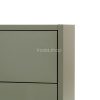 Boxie 2 fiókos fali szekrény 40x80x37 cm zöld