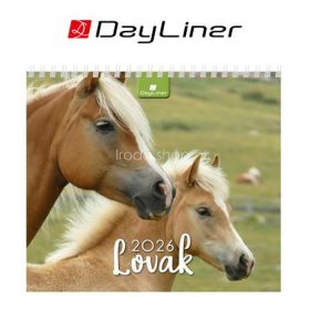 Naptár, asztali, álló, DAYLINER "Lovak"