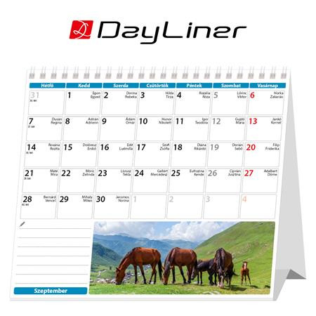 Naptár, asztali, álló, DAYLINER "Lovak"