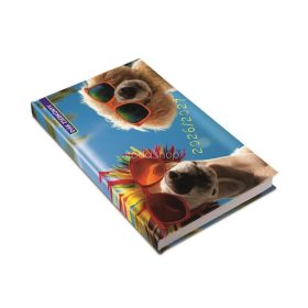 Diák zsebkönyv, heti, 2026/2027 tanév, REALSYSTEM, summer