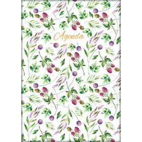   Naptár, tervező, A5, napi, DAYLINER, "Colors", Berries