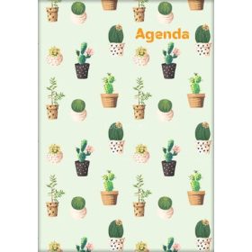   Naptár, tervező, A5, heti, DAYLINER, "Colors", Cactus