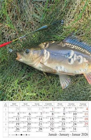 Naptár, fali, CSG "Horgász" 