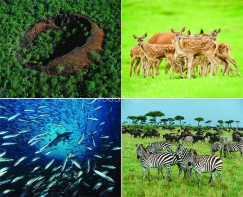 Naptár, fali, CSG, "Csodálatos bolygónk"