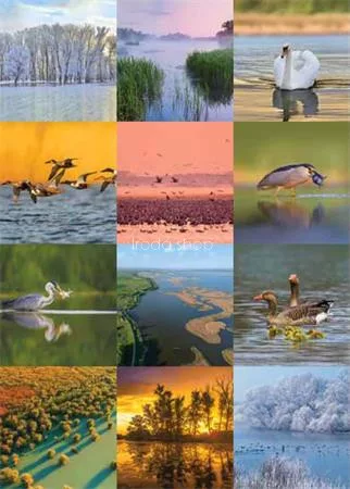 Naptár, fali, CSG, "Vizeink"