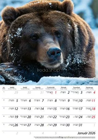 Naptár, fali, DAYLINER, "Vadászat"