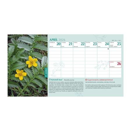 Naptár, asztali, álló, TOPTIMER, "Gyógyító természet"