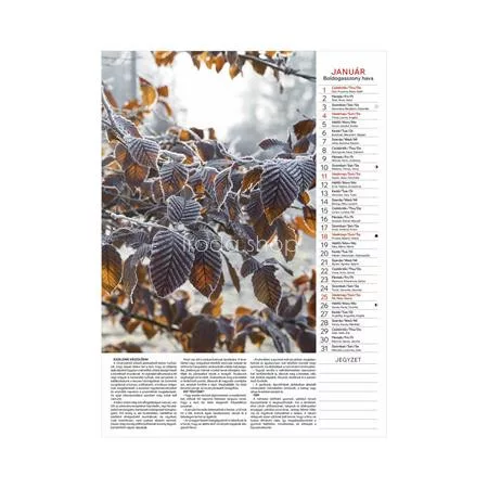 Naptár, fali, TOPTIMER "Kertésznaptár"