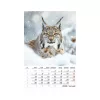 Naptár, fali, TOPTIMER "Vadállatok"