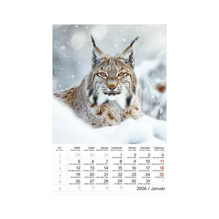Naptár, fali, TOPTIMER "Vadállatok"