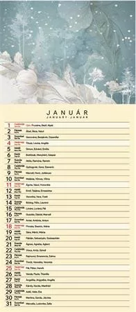 Naptár, fali, tervező, TOPTIMER "Vintage"