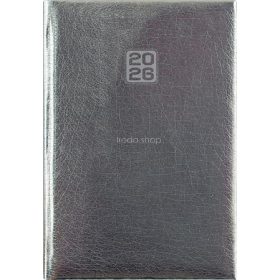   Naptár, tervező, B6, heti, DAYLINER, "Mirror", ezüst
